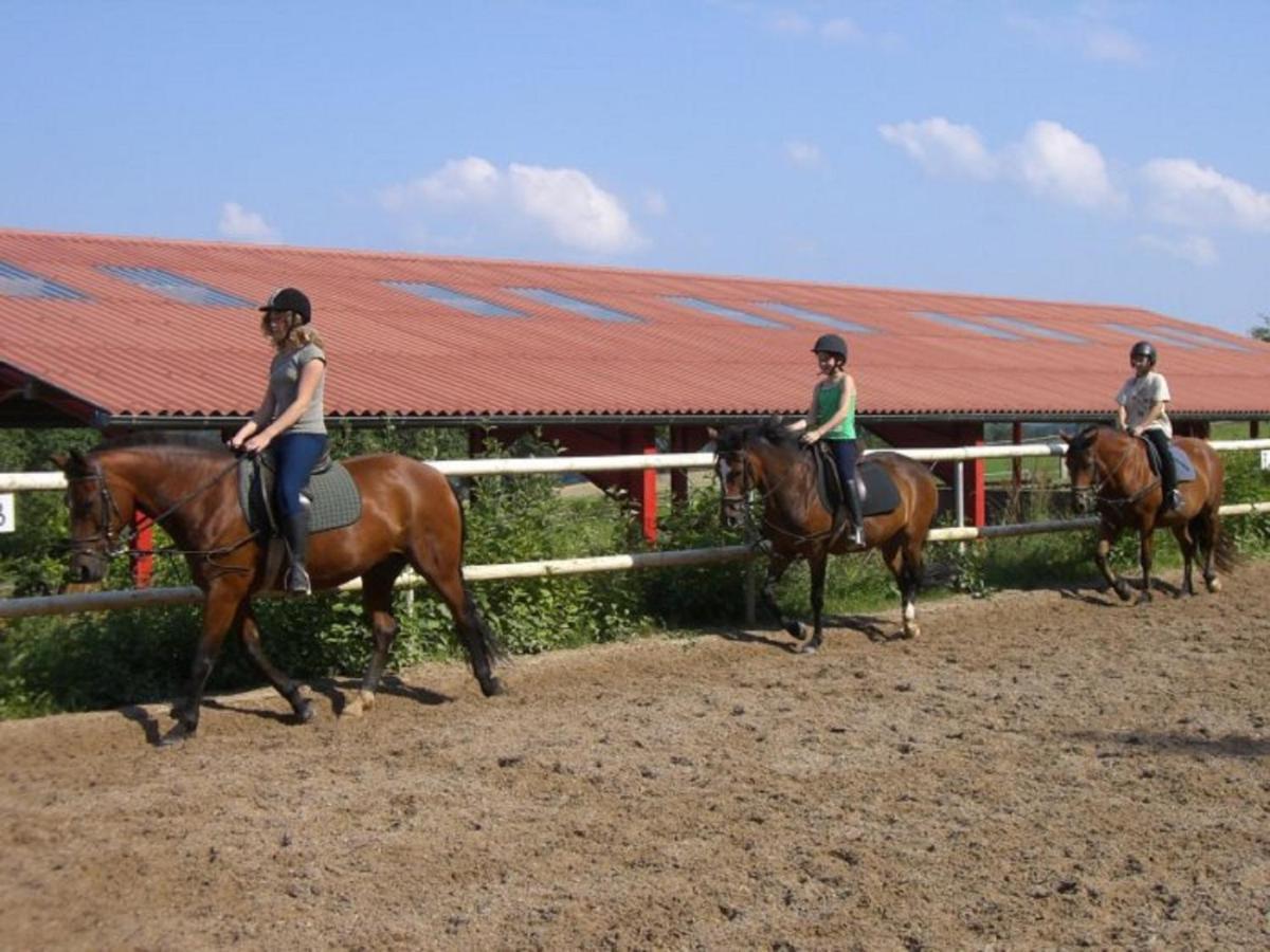 Ferienhof Pfeiffer Buchen  Ngoại thất bức ảnh
